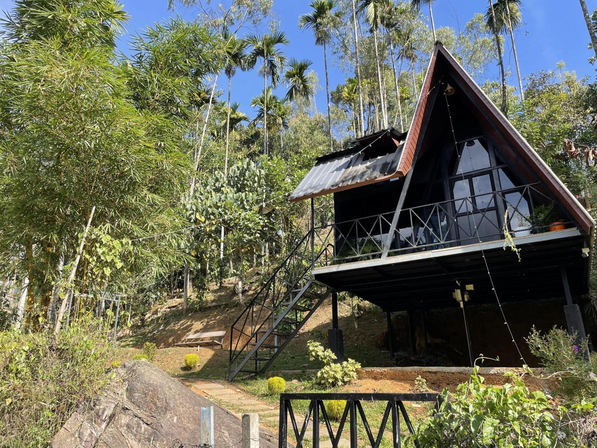 Wetlands Wayanad Pool Resort With Natural Waterfalls Padinjarathara Εξωτερικό φωτογραφία